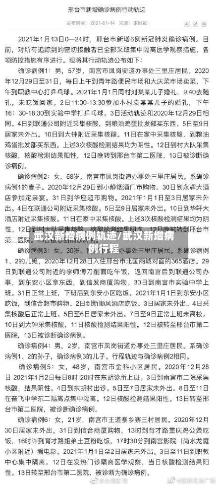 武汉新增病例轨迹/武汉新增病例行程-第3张图片