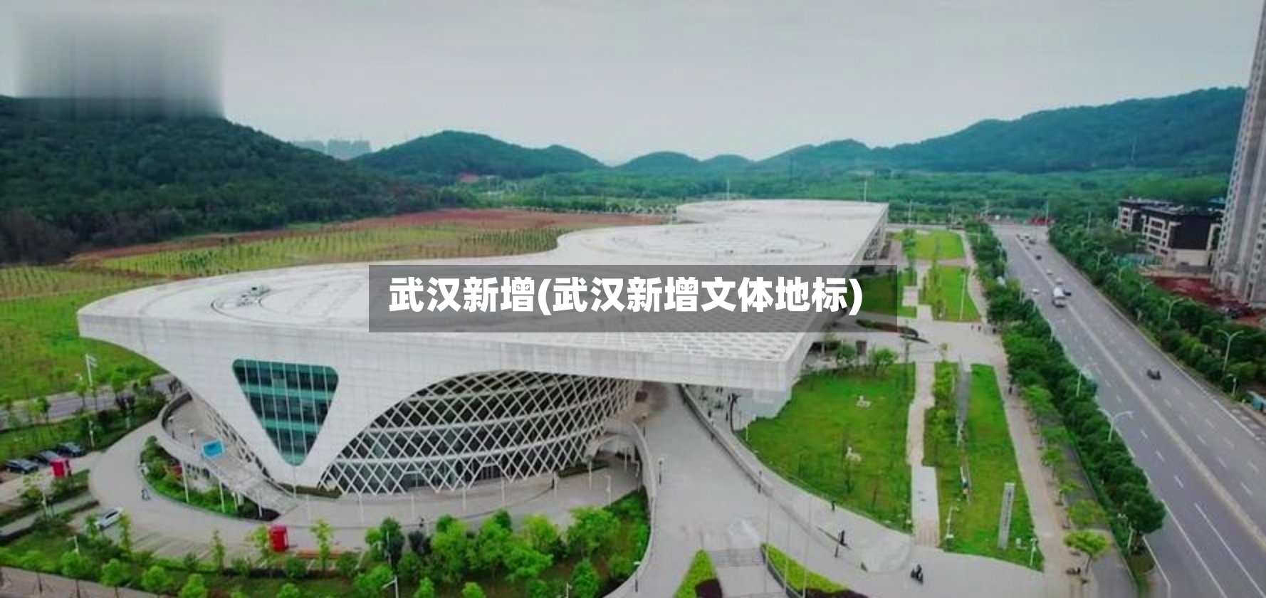 武汉新增(武汉新增文体地标)-第3张图片