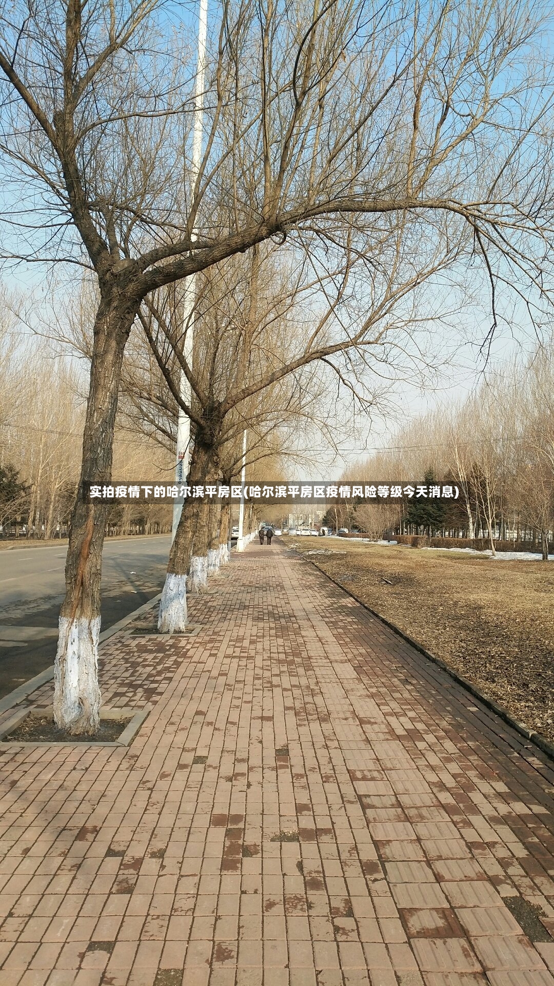 实拍疫情下的哈尔滨平房区(哈尔滨平房区疫情风险等级今天消息)
