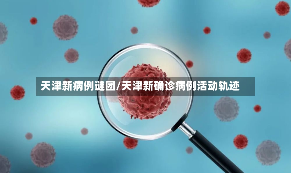 天津新病例谜团/天津新确诊病例活动轨迹