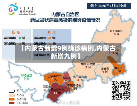 【内蒙古新增9例确诊病例,内蒙古新增九例】