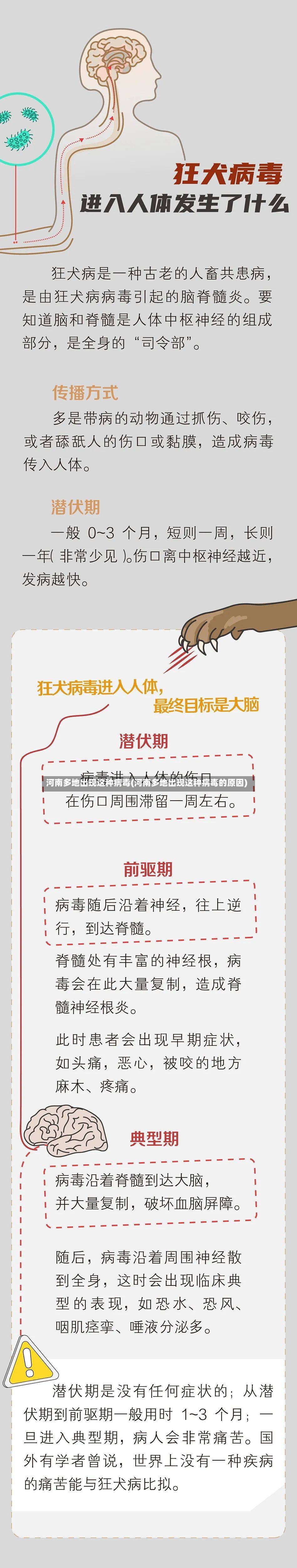 河南多地出现这种病毒(河南多地出现这种病毒的原因)