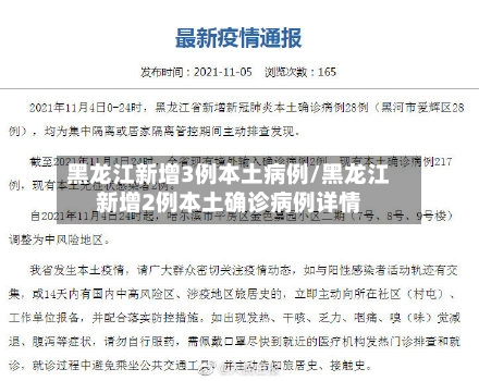 黑龙江新增3例本土病例/黑龙江新增2例本土确诊病例详情-第3张图片