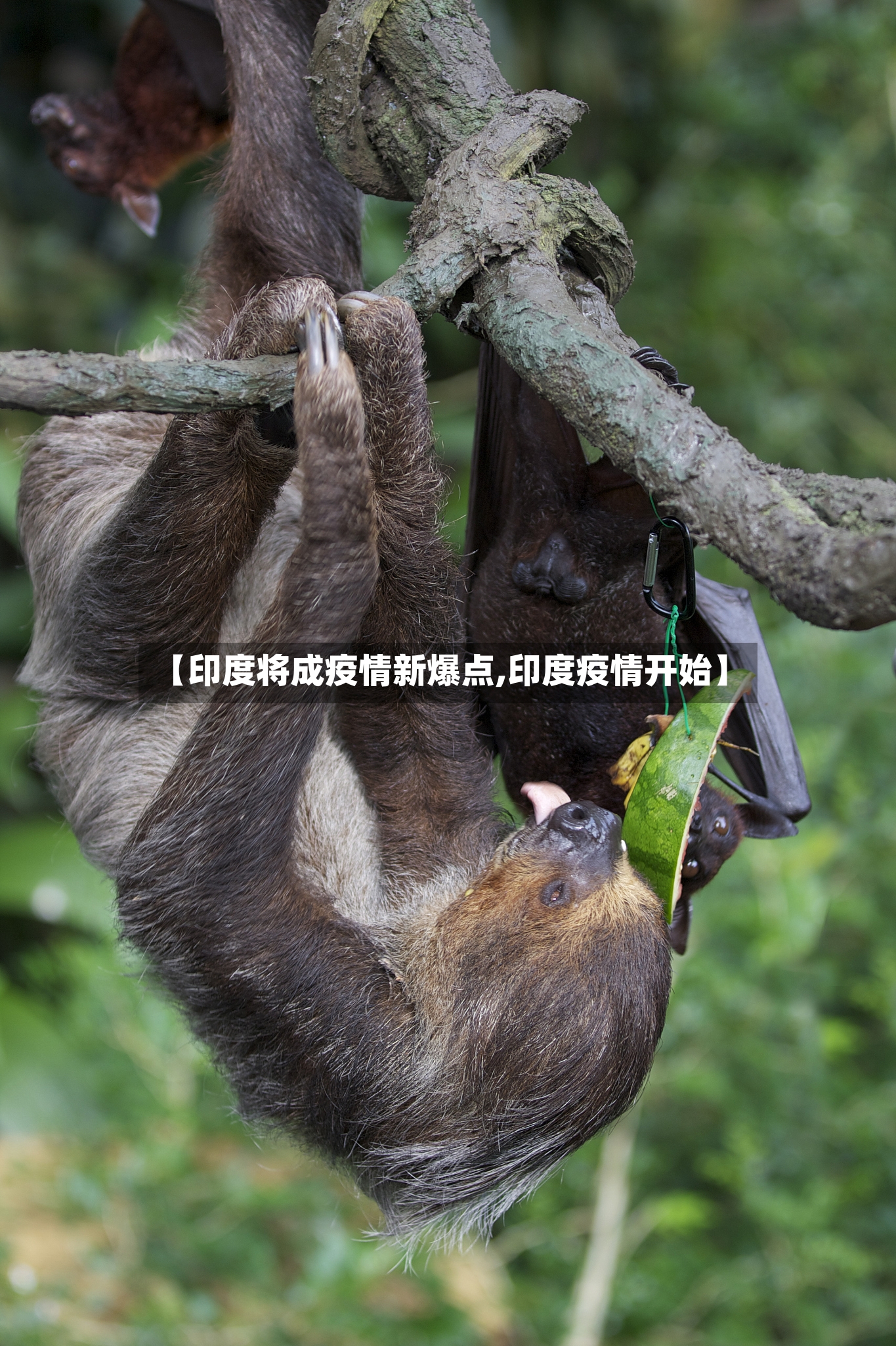 【印度将成疫情新爆点,印度疫情开始】-第2张图片