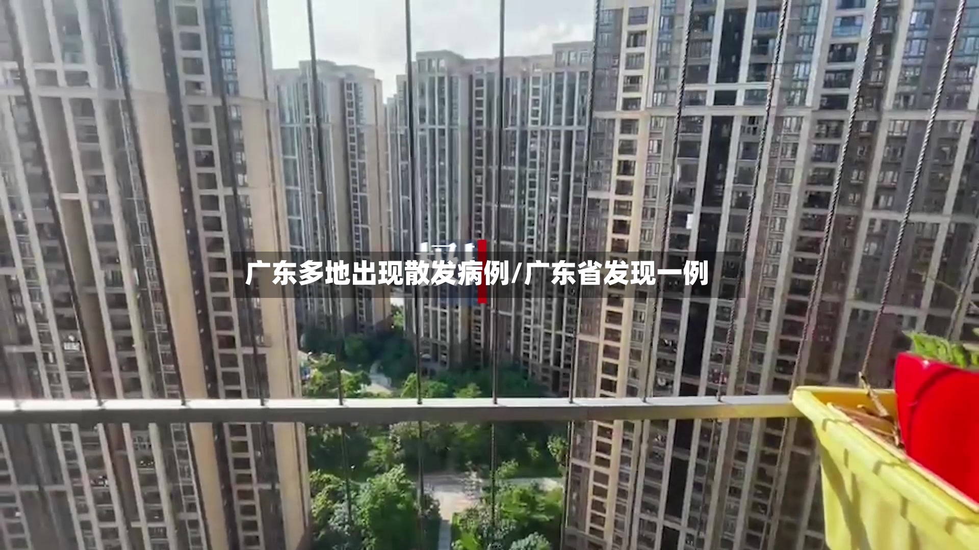 广东多地出现散发病例/广东省发现一例