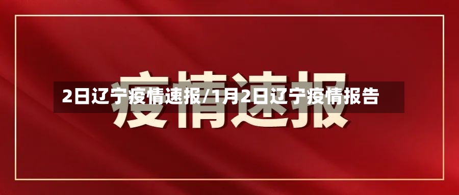 2日辽宁疫情速报/1月2日辽宁疫情报告-第2张图片