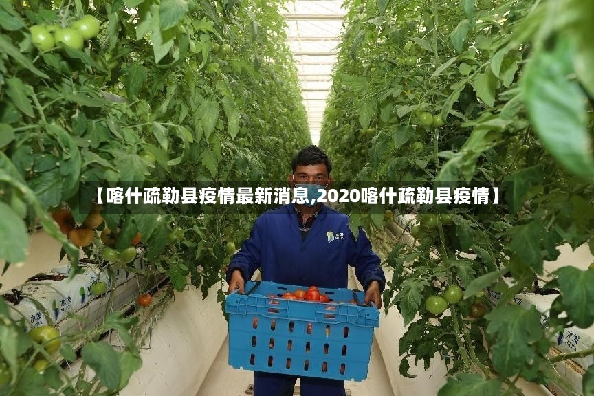 【喀什疏勒县疫情最新消息,2020喀什疏勒县疫情】