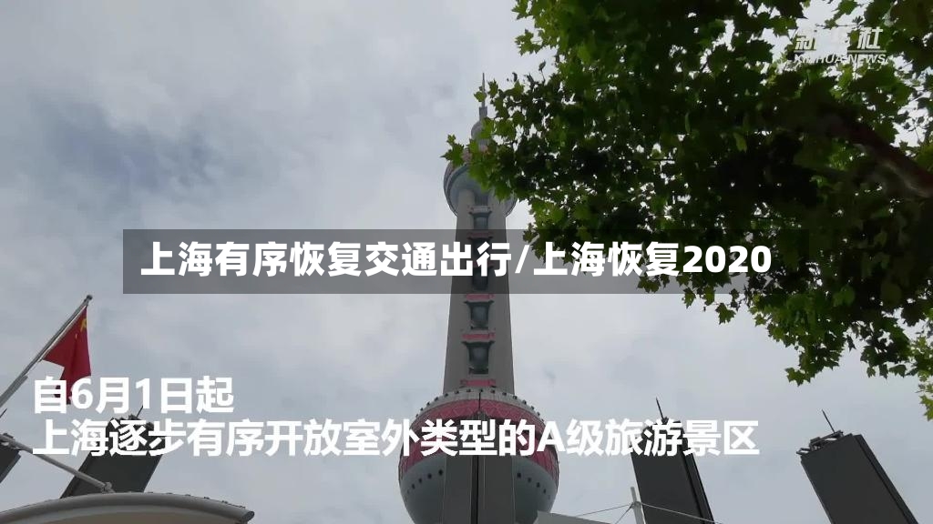 上海有序恢复交通出行/上海恢复2020-第3张图片