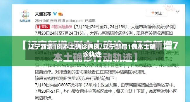 辽宁新增1例本土确诊病例/辽宁新增1例本土确诊轨迹