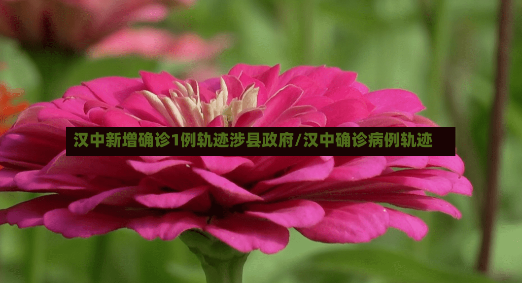 汉中新增确诊1例轨迹涉县政府/汉中确诊病例轨迹