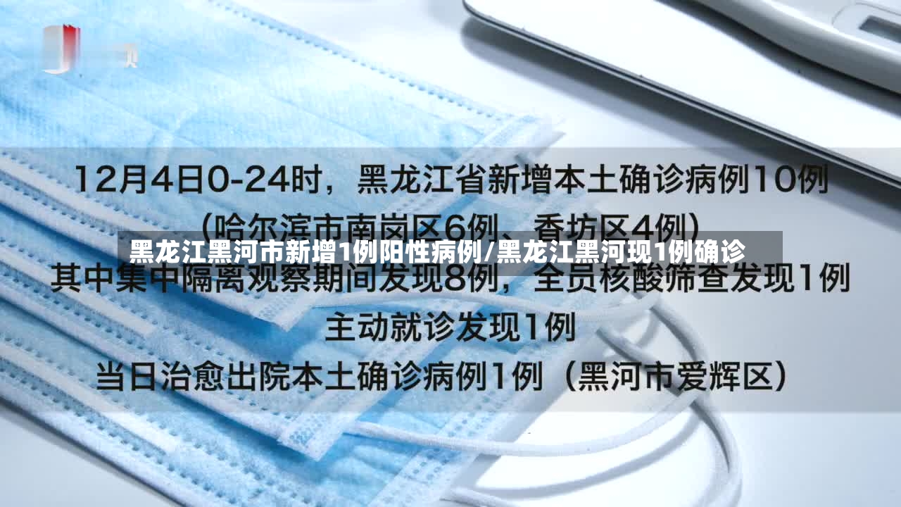 黑龙江黑河市新增1例阳性病例/黑龙江黑河现1例确诊-第2张图片