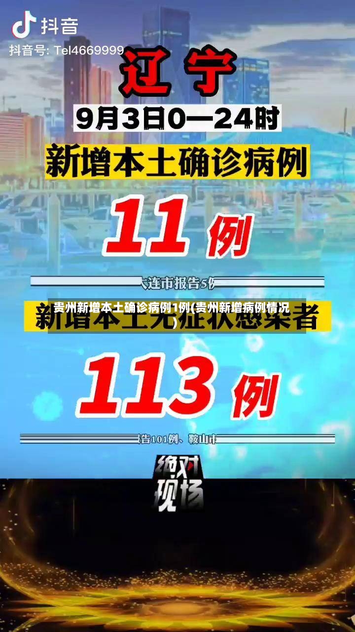 贵州新增本土确诊病例1例(贵州新增病例情况)-第2张图片