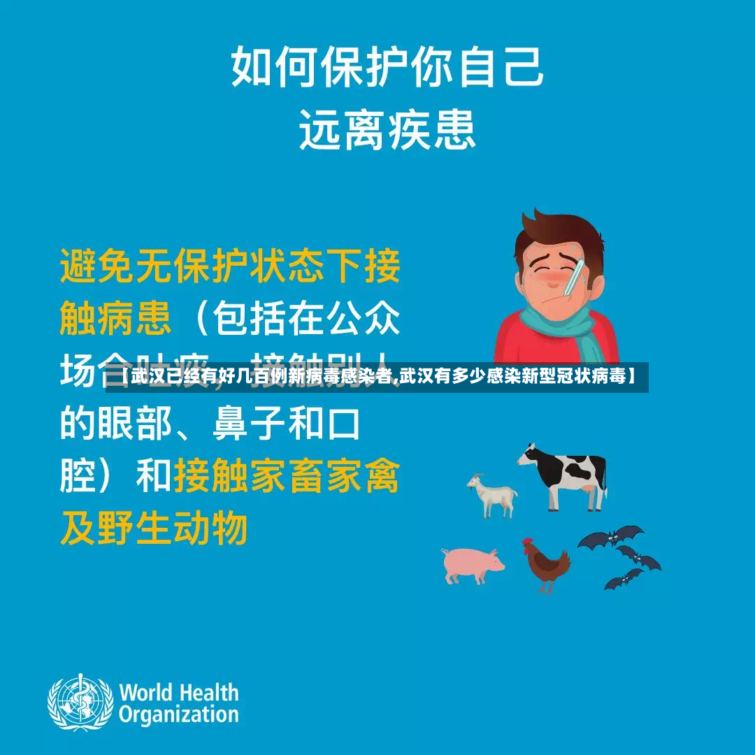 【武汉已经有好几百例新病毒感染者,武汉有多少感染新型冠状病毒】-第3张图片