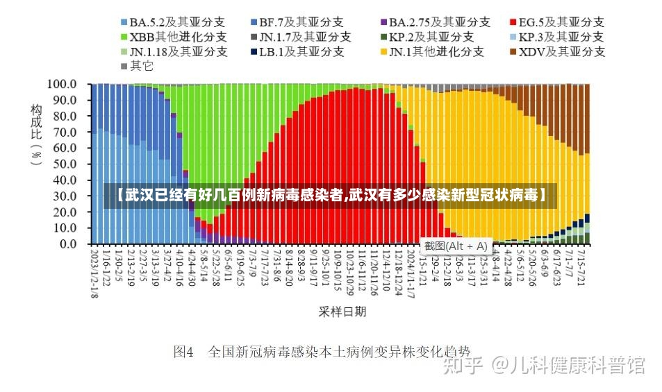 【武汉已经有好几百例新病毒感染者,武汉有多少感染新型冠状病毒】-第2张图片