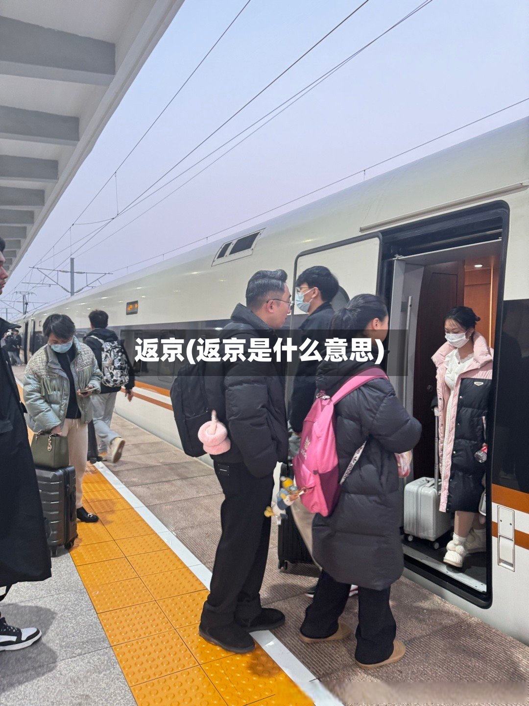 返京(返京是什么意思)
