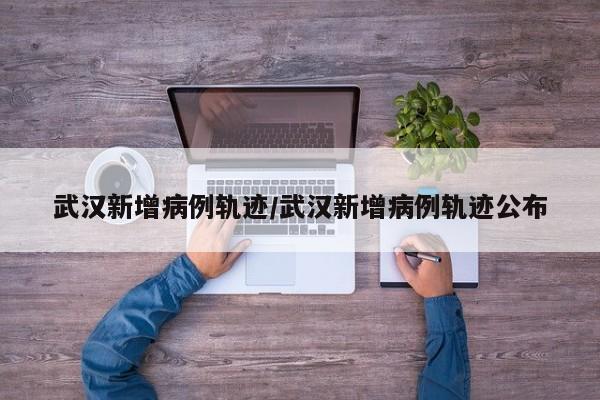武汉新增病例轨迹/武汉新增病例轨迹公布